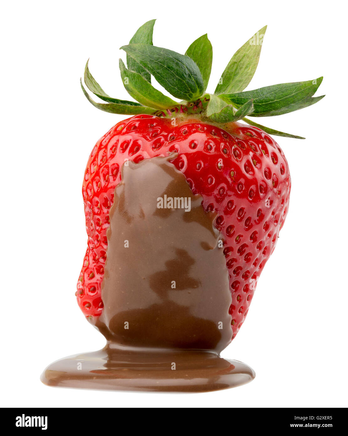 strawberry in chocolate isolated on the white background. Stock Photo