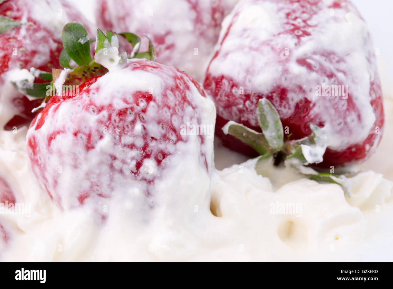 strawberries with whipped cream isolated on the white background. Stock Photo