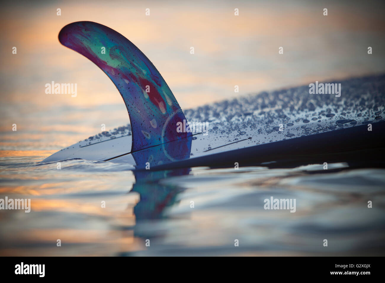 Closeup of Rainbow Fin Company single fin(skeg) on custom Kanaiupuni longboard in water at dusk
