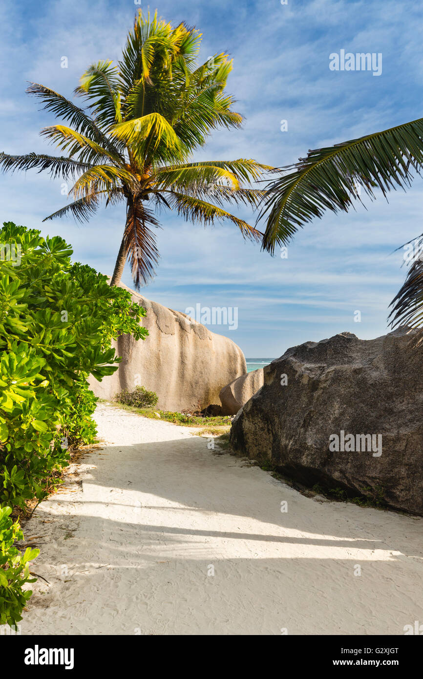 The footpath to Anse Source D'Argent in La Digue, Seychelles with palm trees and granite boulders Stock Photo