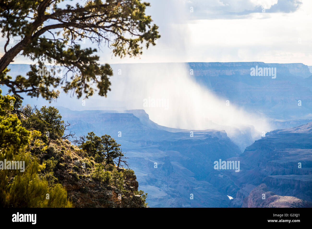 Rain shower over North Rim of Grand Canyon Arizona Stock Photo - Alamy