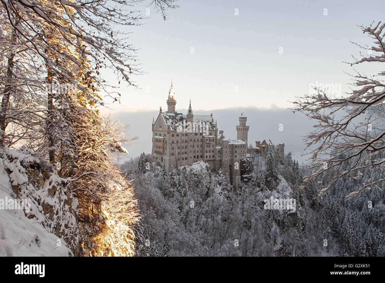 neuschwanstein-castle-in-winter-landscape-stock-photo-alamy