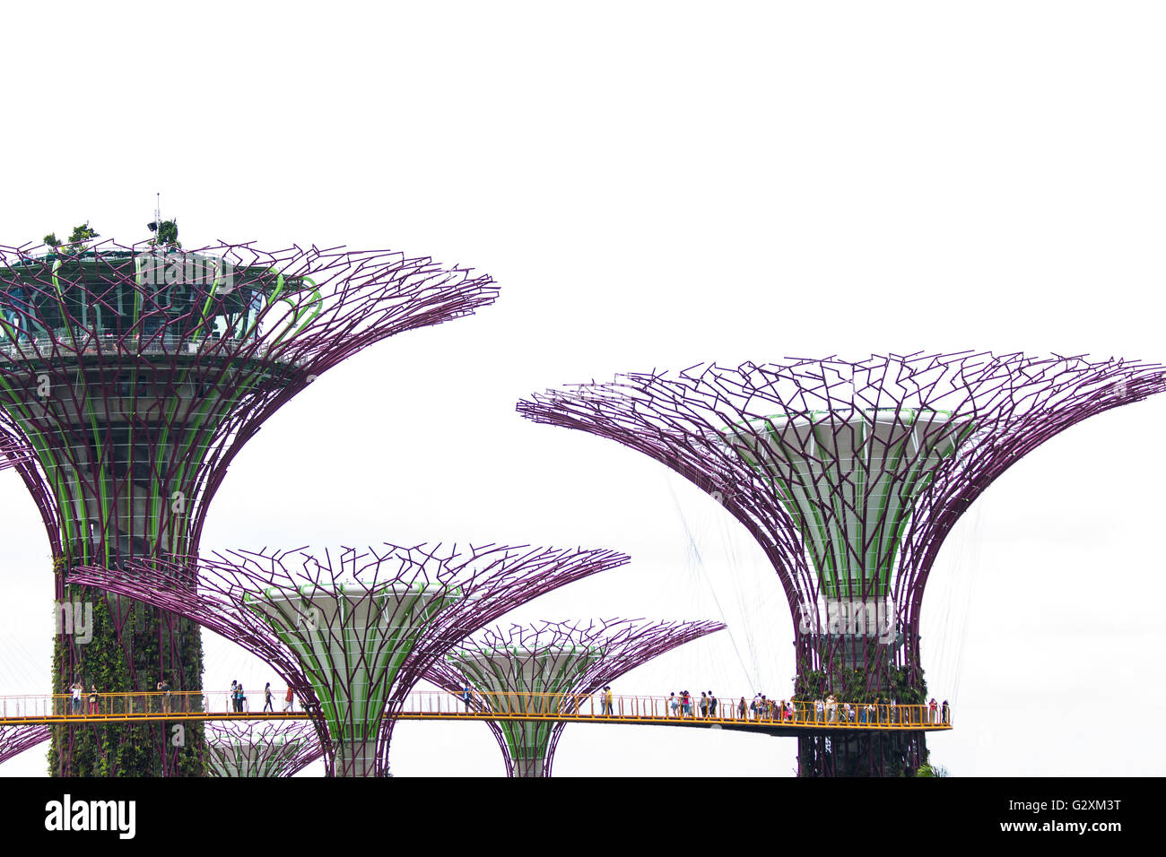SINGAPORE - AUGUST 5, 2014: Supertree Grove at Gardens by the Bay in Singapore. Supertrees are tree-like structures with heights Stock Photo
