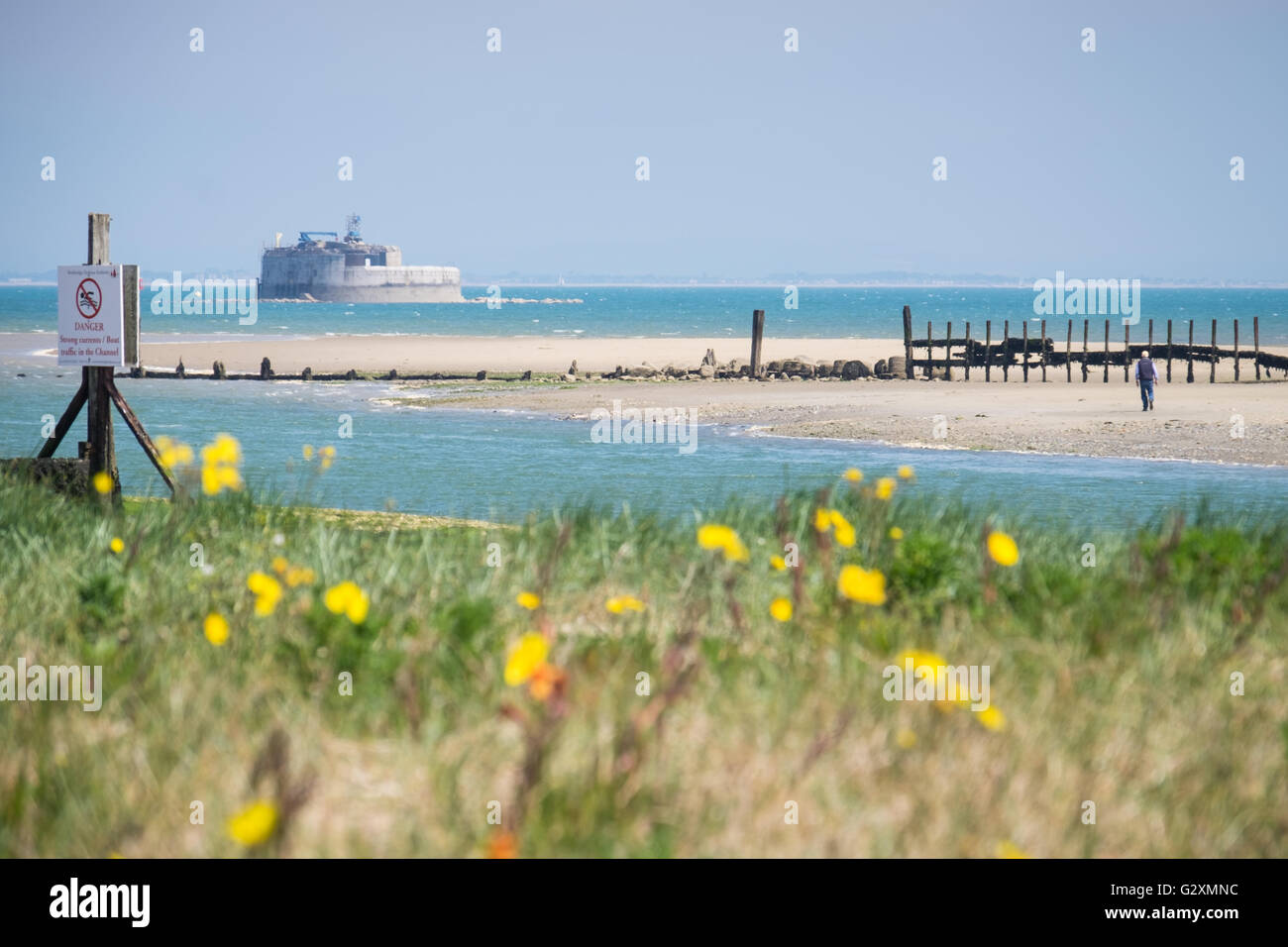 Dog walkers walking on the beach near St. Helen's Fort, in Bembridge on the Isle of Wight Stock Photo