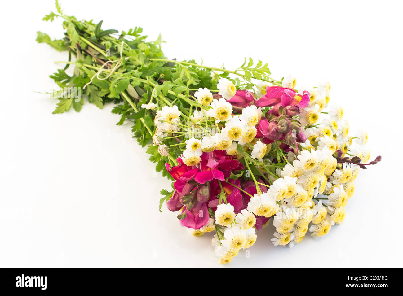 Bouquet of Small Daisies and Snapdragon. Stock Photo