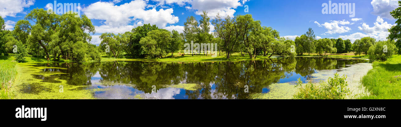 Beautiful summer panoramic landscape, Belarus Stock Photo
