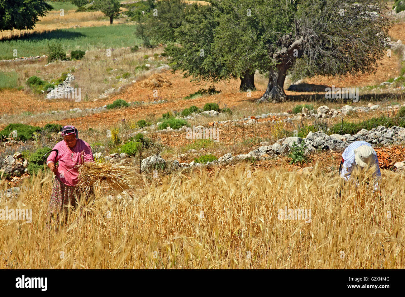 Rural daily life scene on the 'Lycian Way', between Yediburun and Bel villages, Mugla Province, Lycia, Turkey Stock Photo