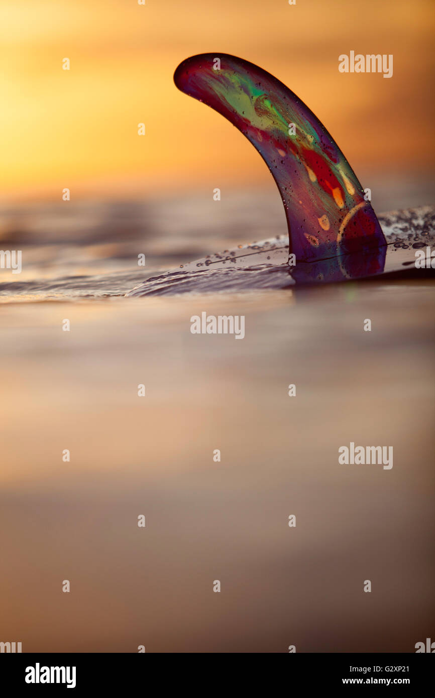 Closeup of Rainbow Fin Company single fin(skeg) on custom Kanaiupuni longboard in water at dusk