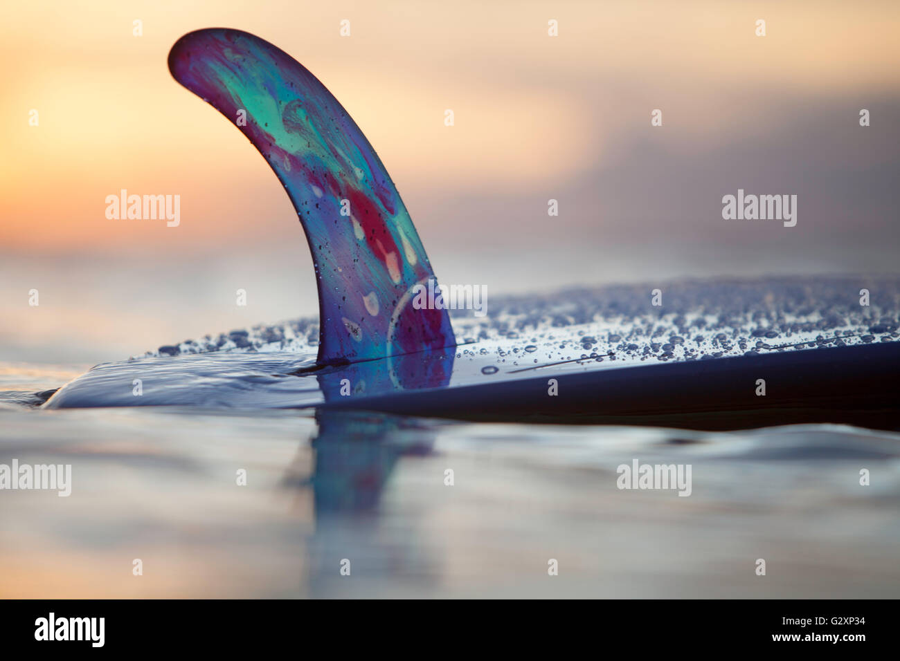 Closeup of Rainbow Fin Company single fin(skeg) on custom Kanaiupuni longboard in water at dusk
