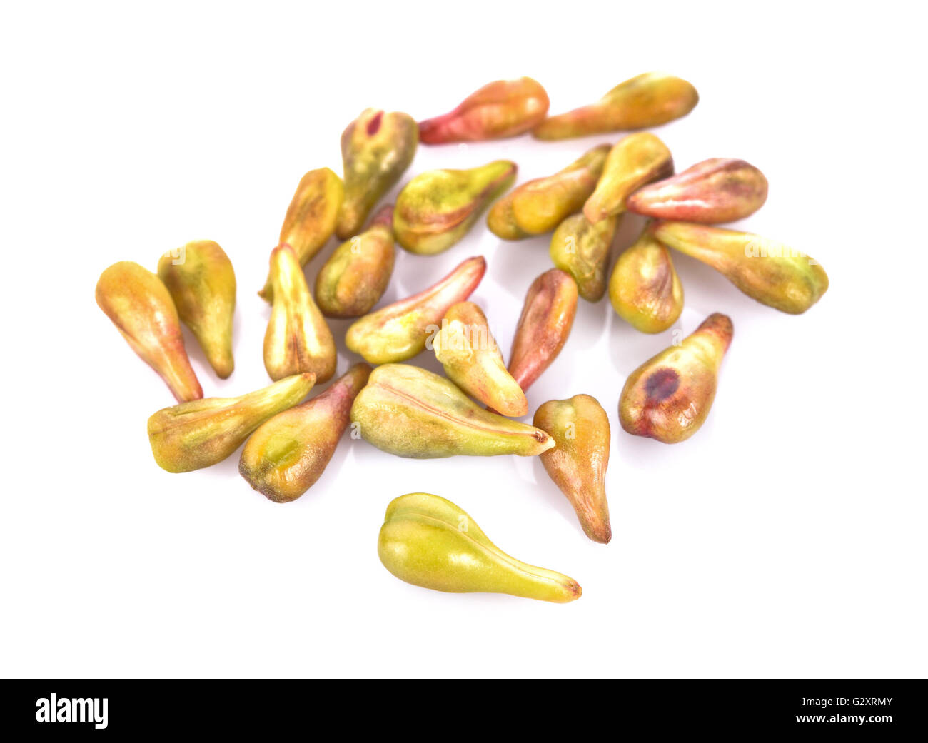 grape seeds on white background macro closeup Stock Photo