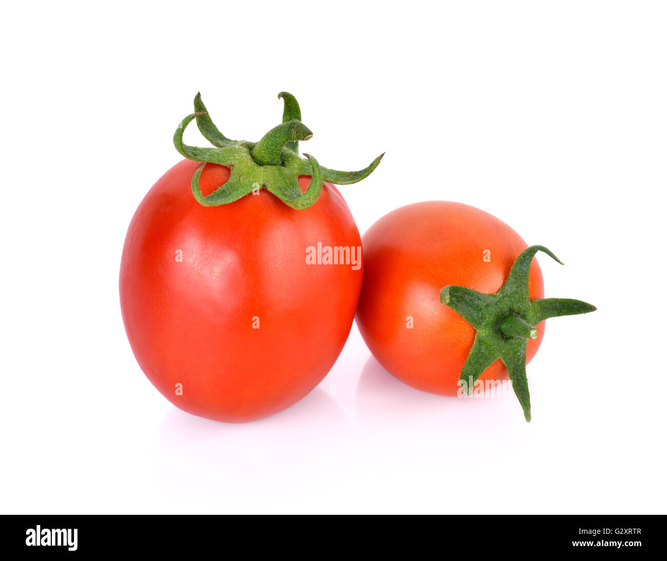 Tomato on white background Stock Photo