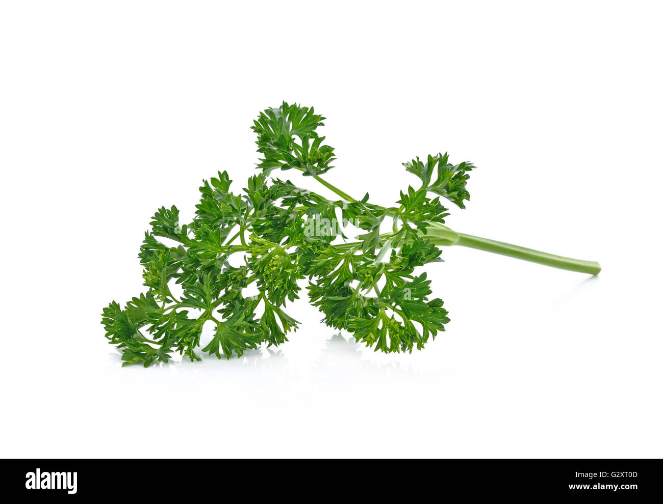Fresh parsley isolated on white background Stock Photo Alamy