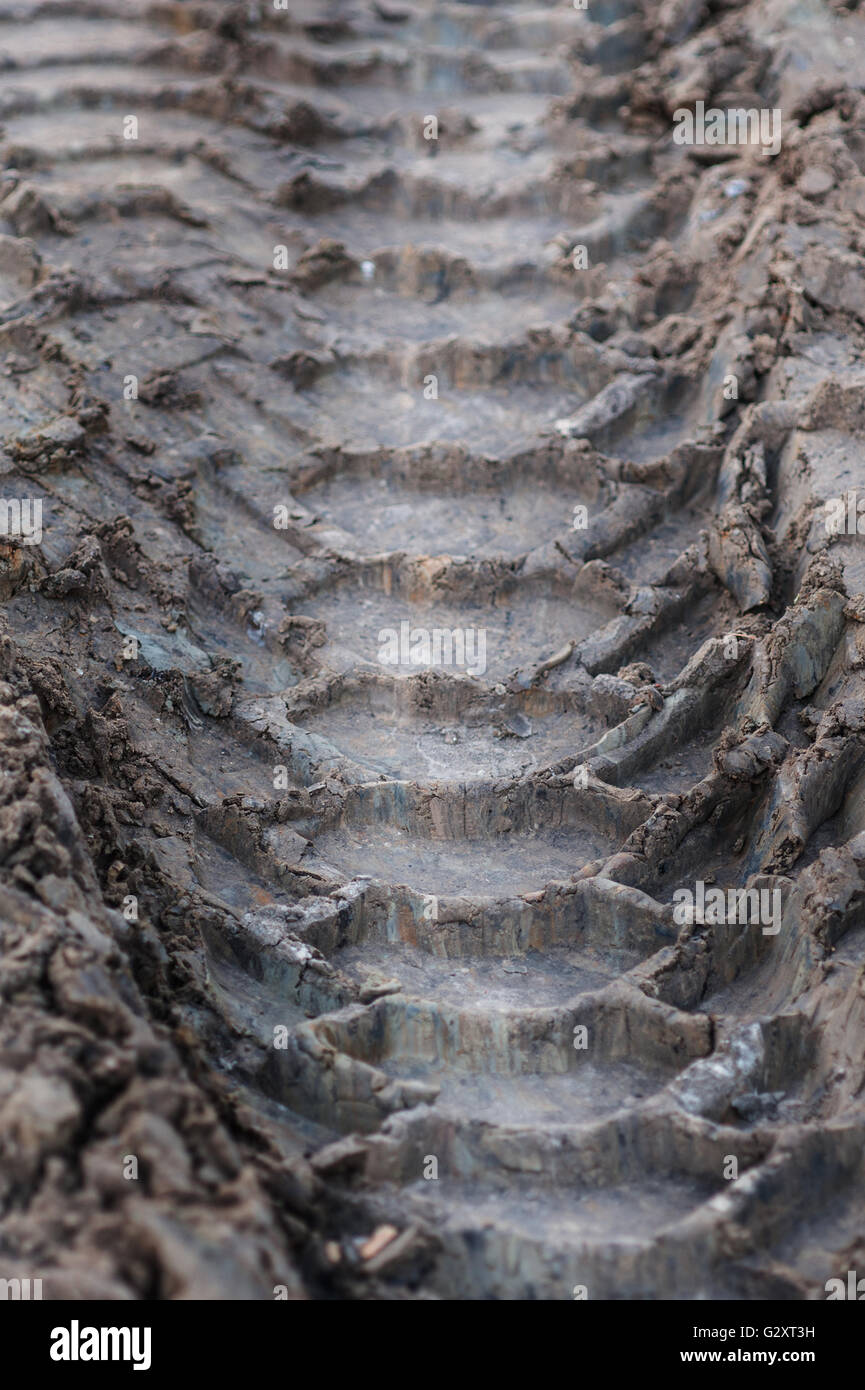 Close-up tire tracks truck on a dirt road in daylight Stock Photo