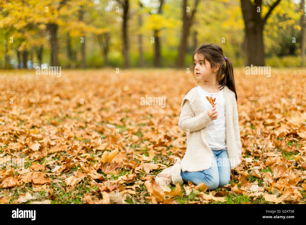 Cute little girl in the autumn park Stock Photo - Alamy