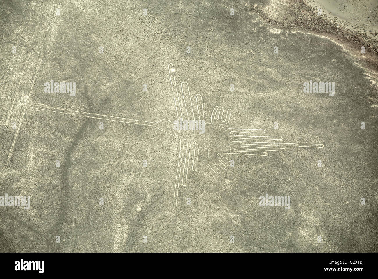 Aerial view of geoglyphs near Nazca - famous Nazca Lines, Peru. In the center, Hummingbird figure is present Stock Photo