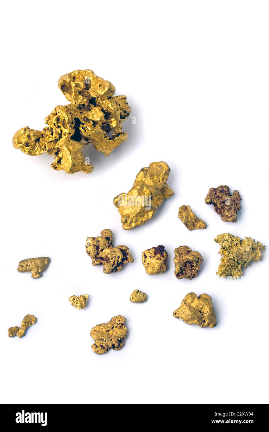 raw gold dog food