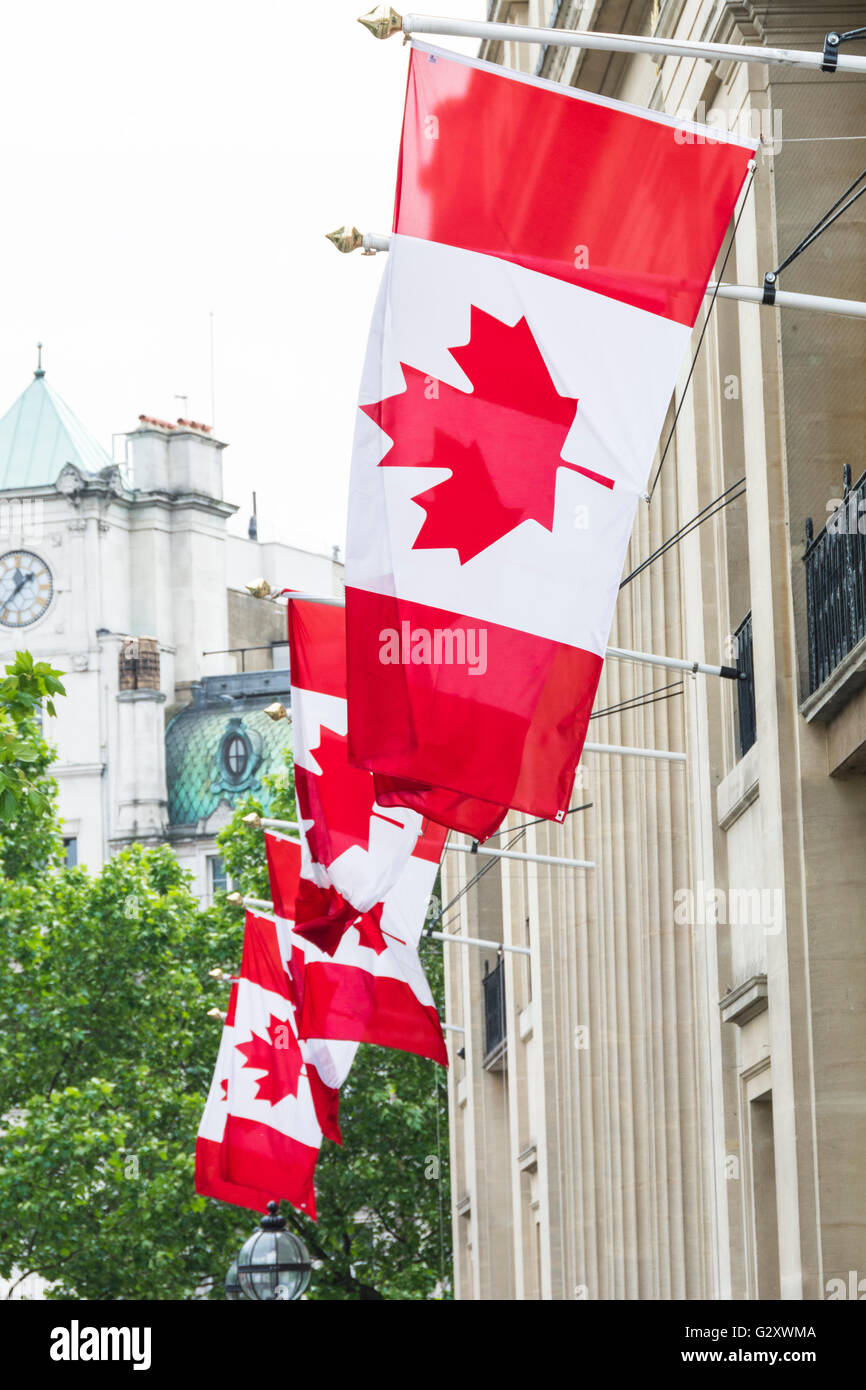 Canadian Flags fly outside the The High Commission of Canada in Trafalgar Square in London, UK Stock Photo