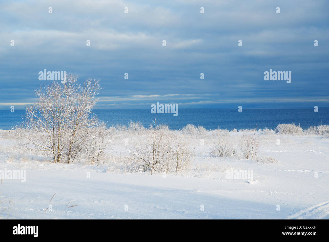 Baltic Sea in winter. snow on a background of water Stock Photo