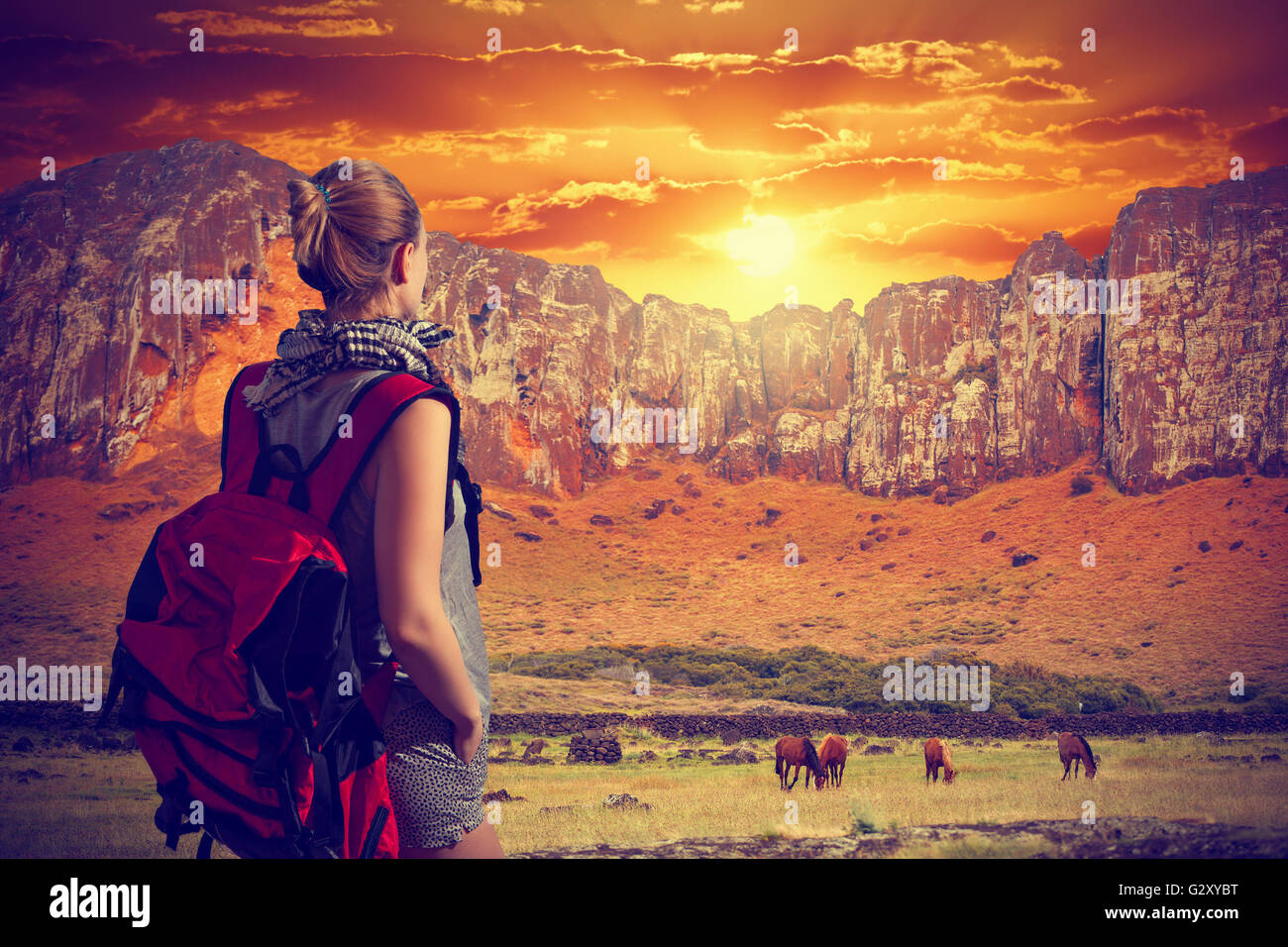 woman traveler with a backpack . Herd of Horses in the plain Stock Photo