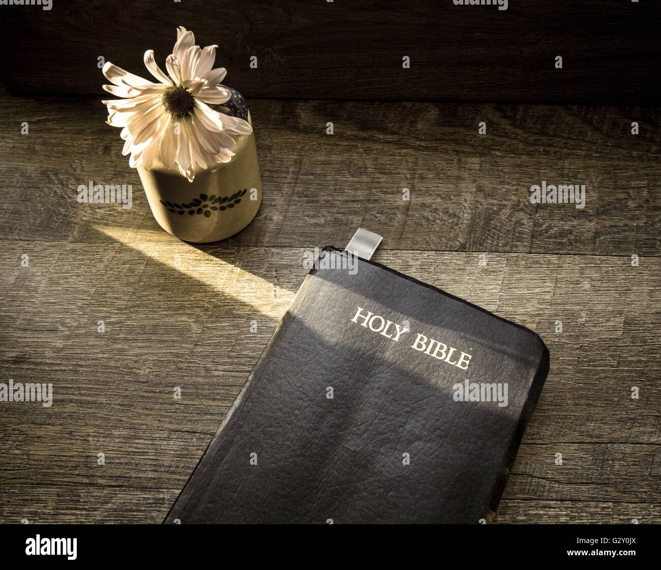 Bible Study. Morning light illuminates a King James Bible on a rustic wooden background with single flower. Stock Photo