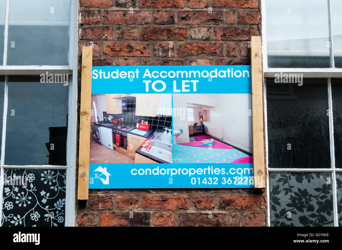 Student accommodation to let sign on the front of a property. Stock Photo