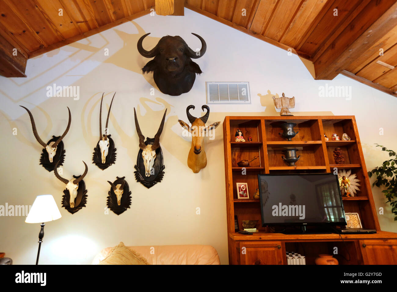 Coaches common room at the Karolyi Ranch, the USA Gymnastics National ...
