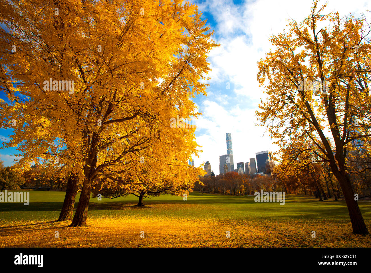 New York City Manhattan Central Park panorama in Autumn lake with ...