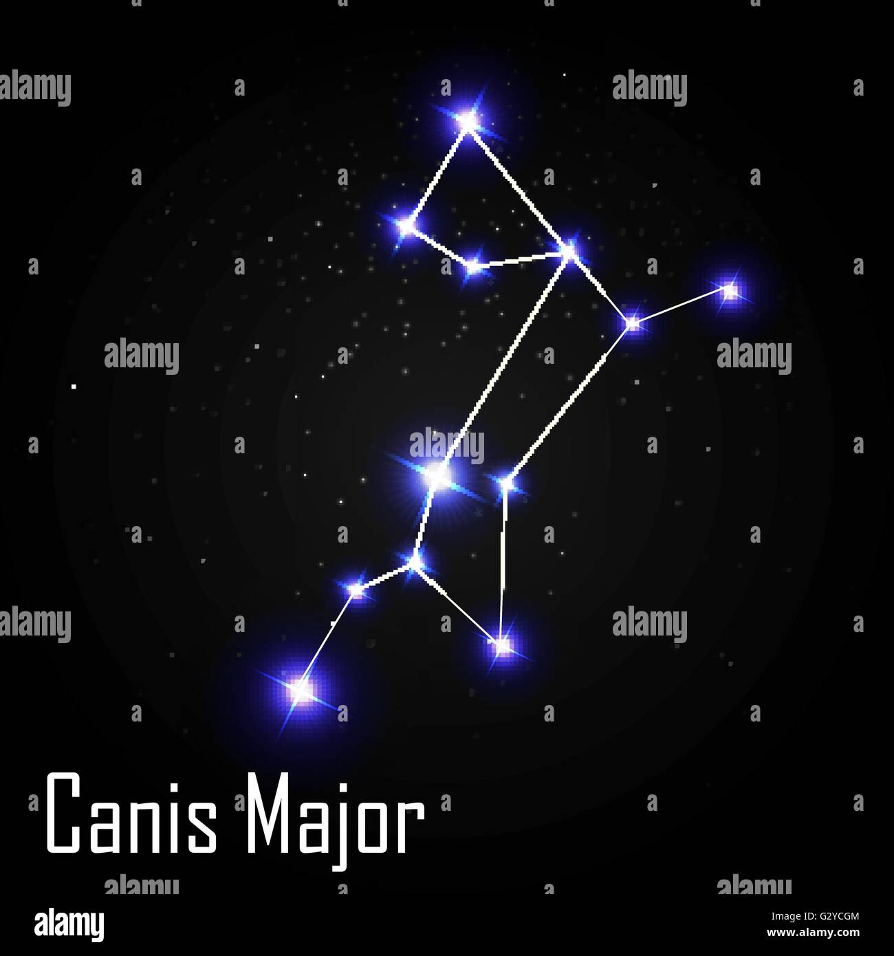 Vector Illustration Of The Constellation Great Dog On A Starry Black Sky  Background Stock Illustration  Download Image Now  iStock