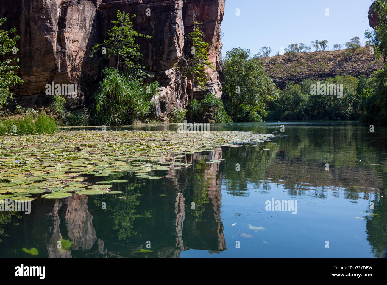 Lawn Hill Gorge, Queensland, Australia with waterlilies and reflections Stock Photo