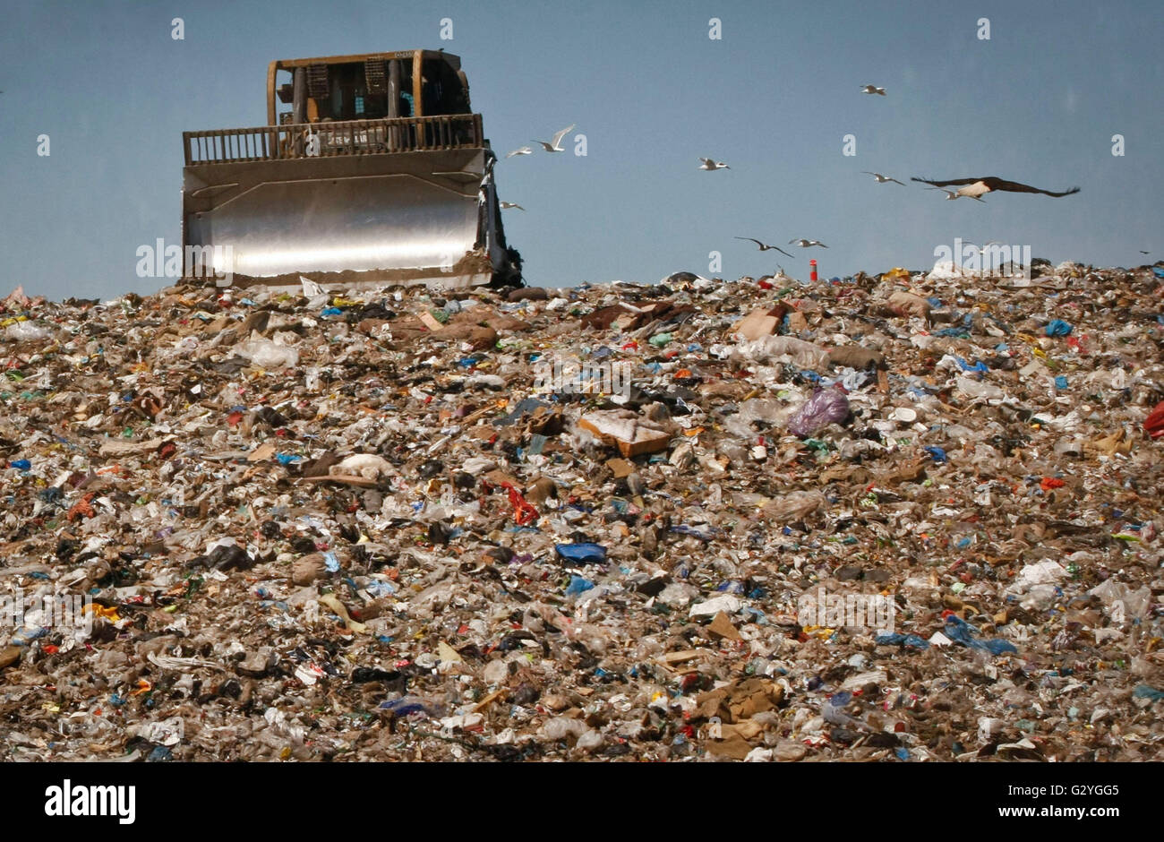 Vancouver, Canada. 4th June, 2016. A compactor works on a landfill site