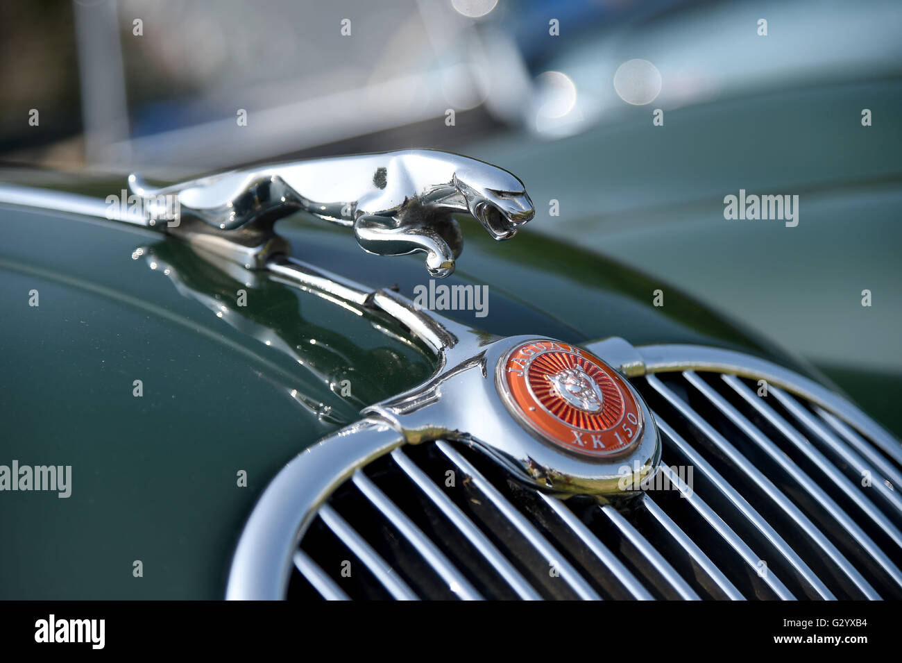 Jaguar XK 150 hood ornament. The Hardy Country Classic Car Tour Stock