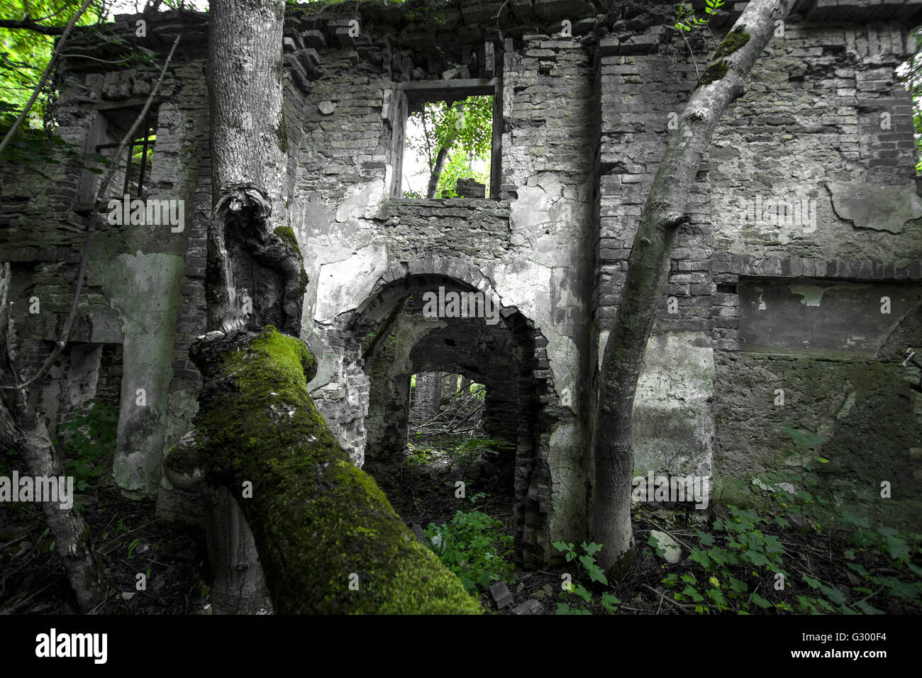 ruins of an old house in the woods more often Stock Photo