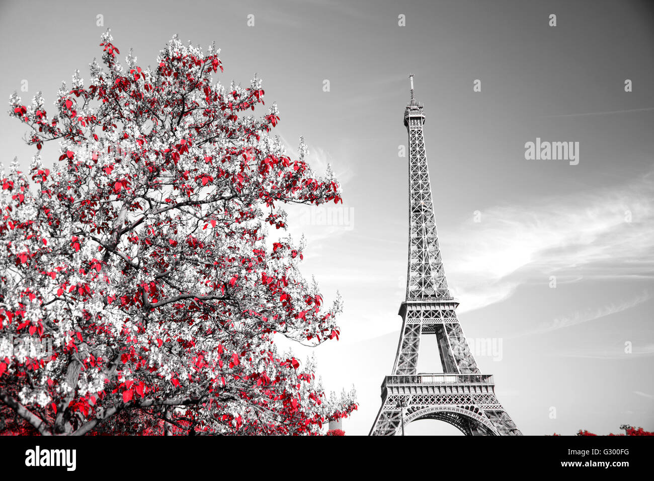 Eiffel wallpaper hi-res stock photography and images - Alamy
