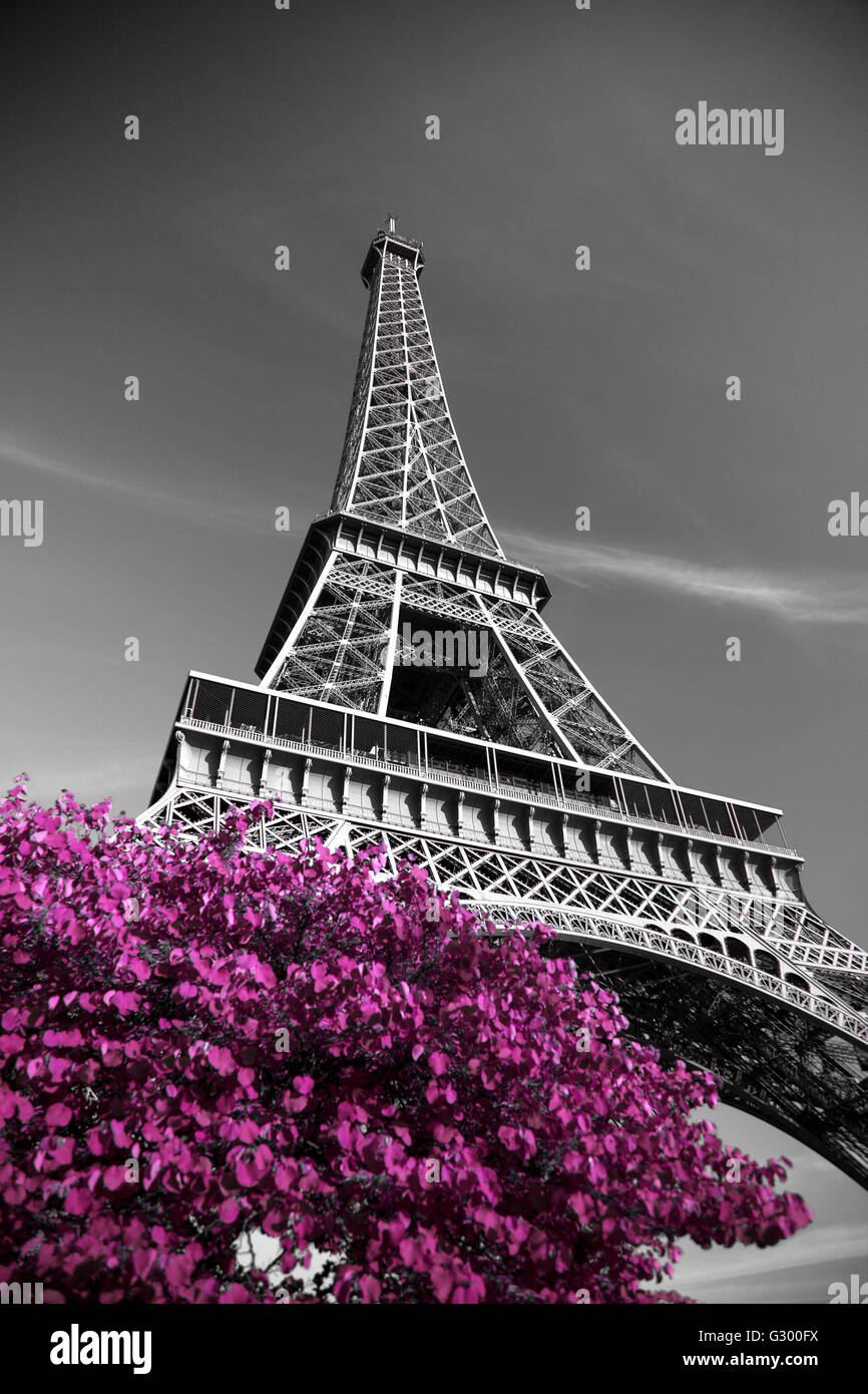 Eiffel wallpaper hi-res stock photography and images - Alamy