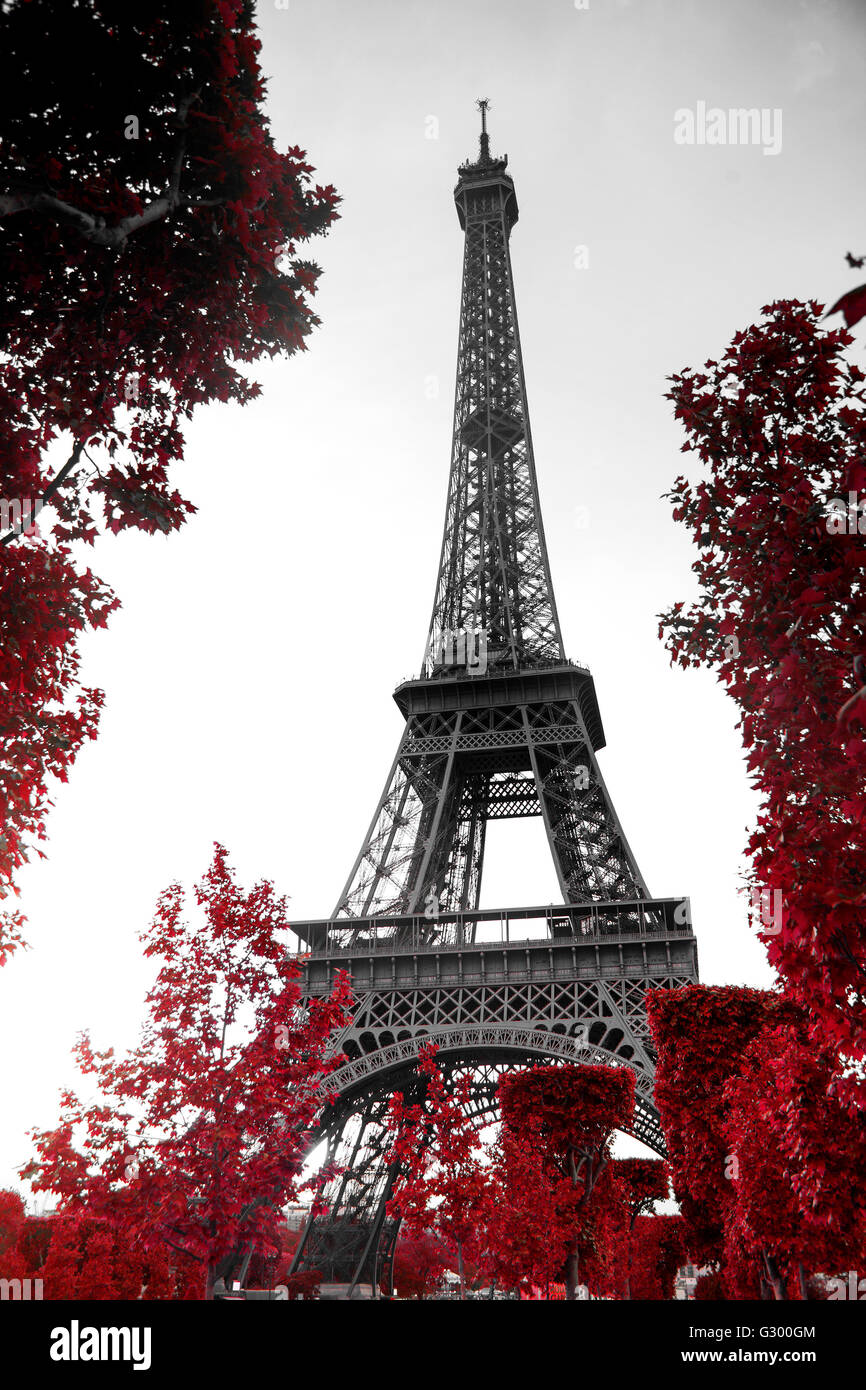 View of Eiffel tower in monochrome style with selective colorization Stock Photo
