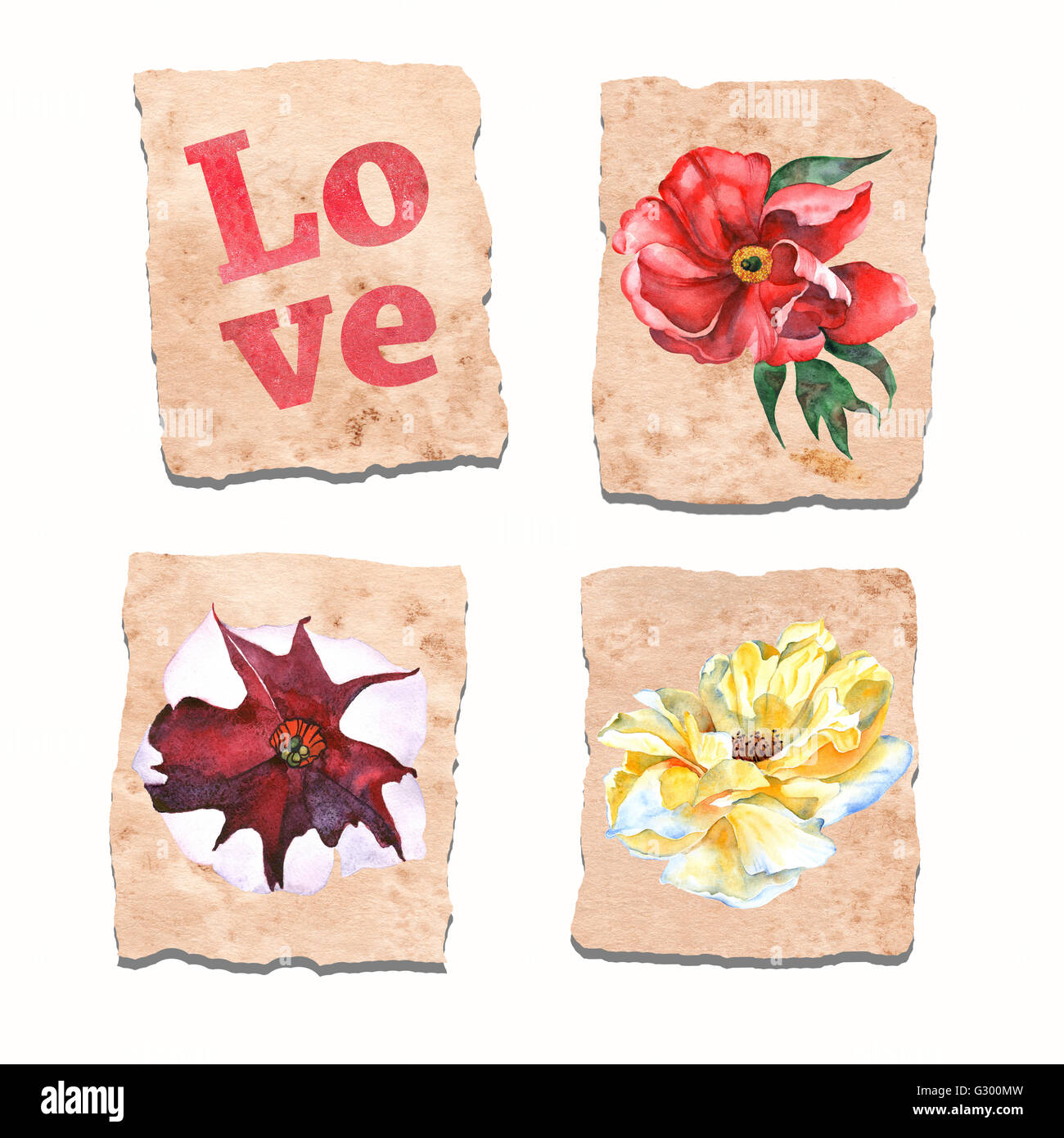 Set of vintage papers with flowers Stock Photo - Alamy