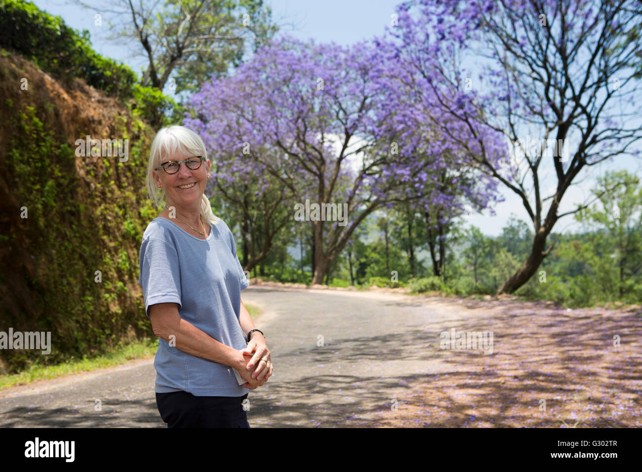 Sri Lanka, Ella, senior woman tourist on rural road under flowering Jacaranda trees Stock Photo