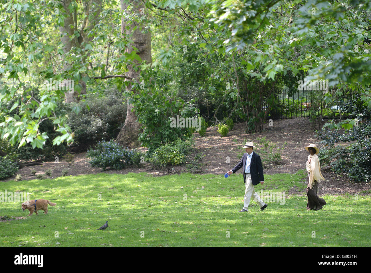 A couple walk their dog in St James' Park, London Stock Photo - Alamy