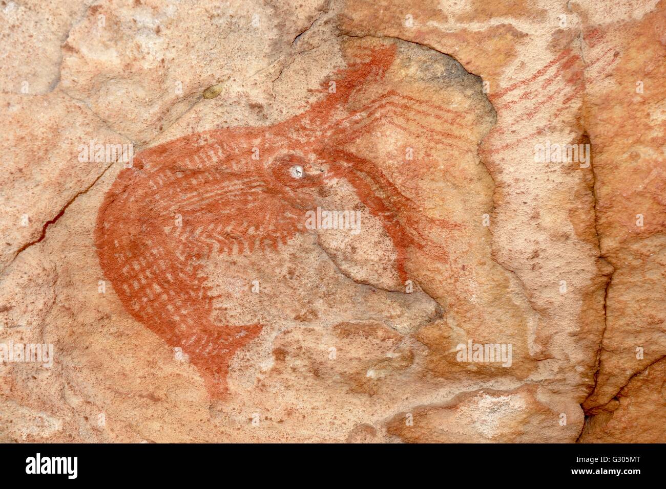 A red prawn painted in a cave known as Shrimp Rock at Hawk Dreaming, Cannon Hill, Kakadu National Park, Australia Stock Photo