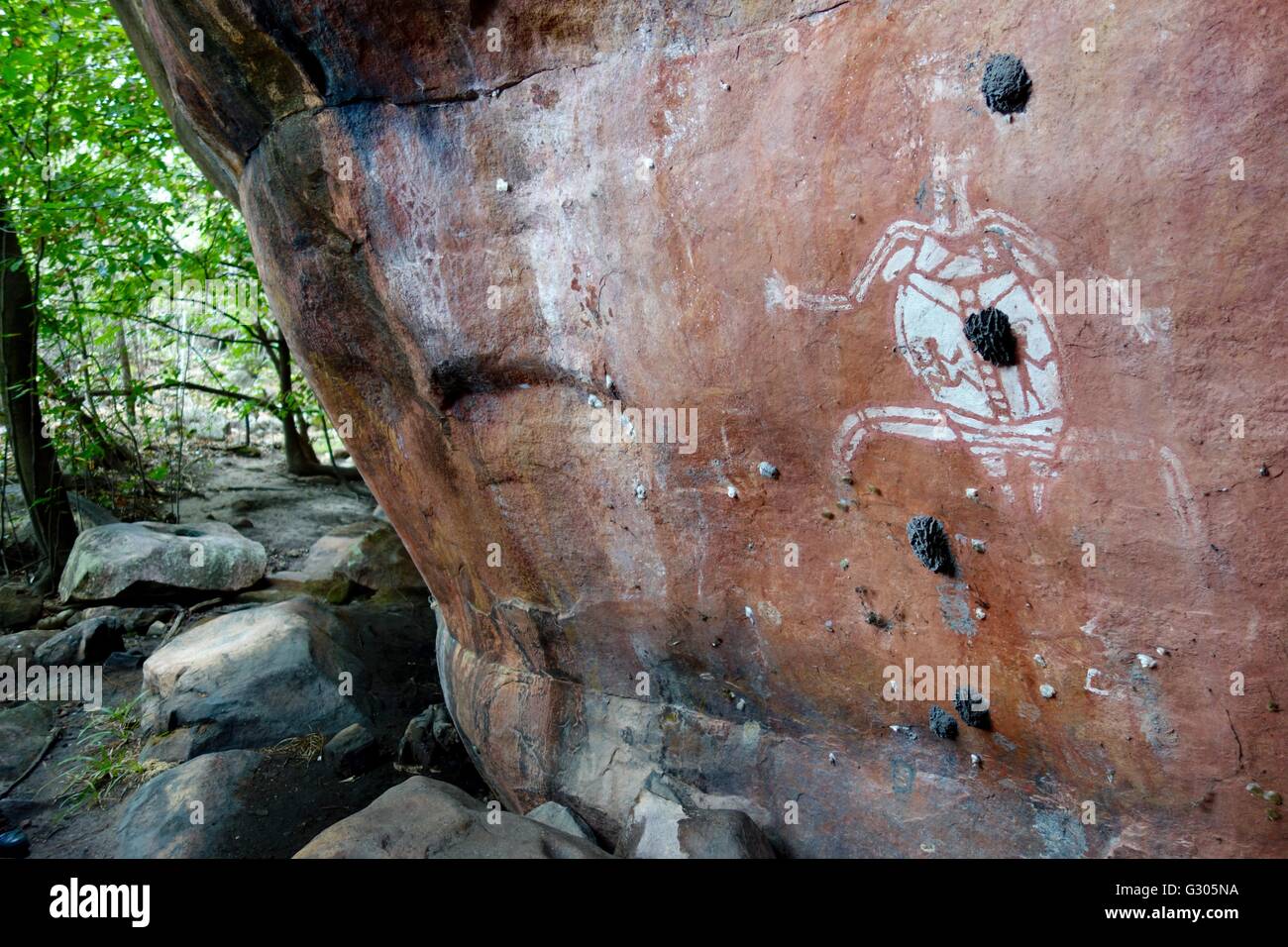 Mud wasp nests on the cave painting known as White Lady Dreaming Site, Kakadu National Park, Northern Territory, Australia Stock Photo