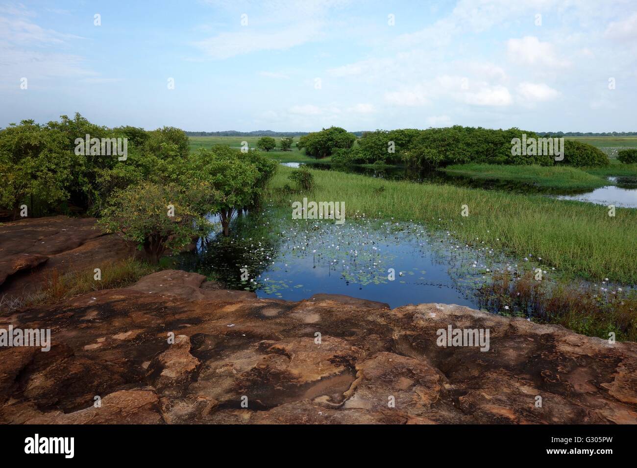 View of the floodplains and wetlands near East Alligator River in West Arnhem Land, Northern Territory, Australia Stock Photo