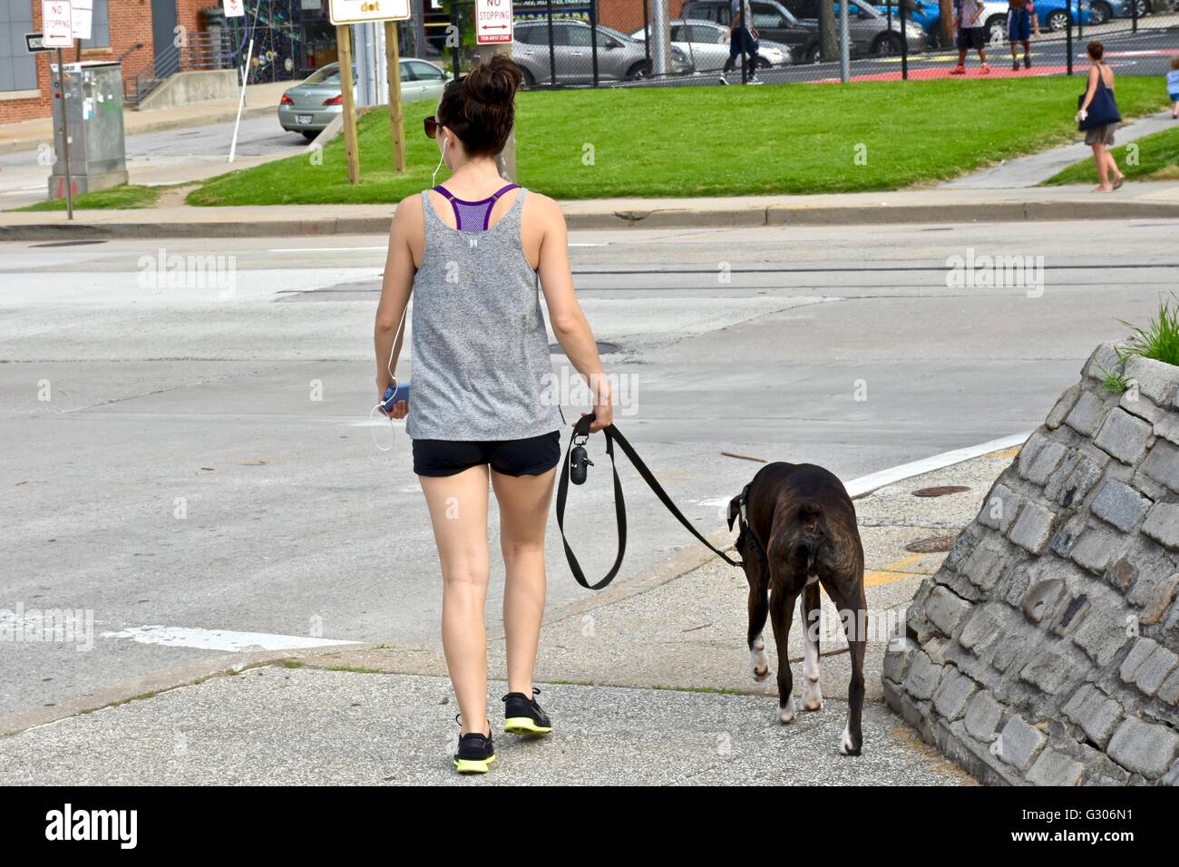 woman walking her dog in the park Stock Photo - Alamy