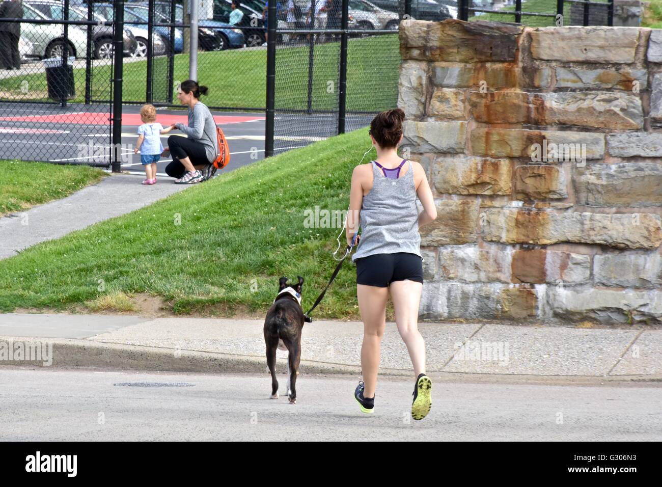 woman walking her dog in the park Stock Photo - Alamy