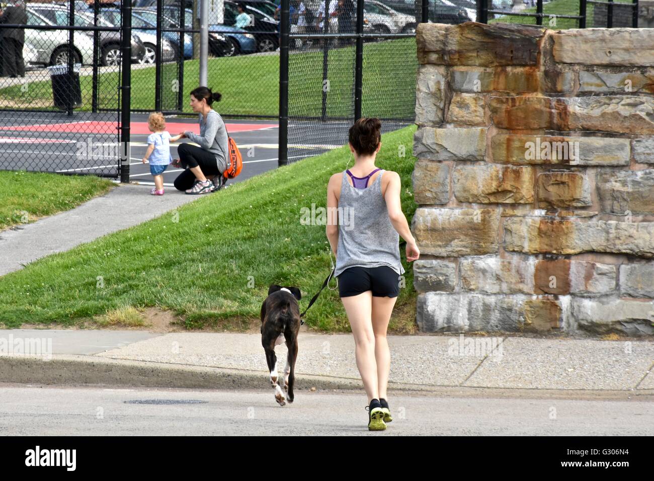 woman walking her dog in the park Stock Photo