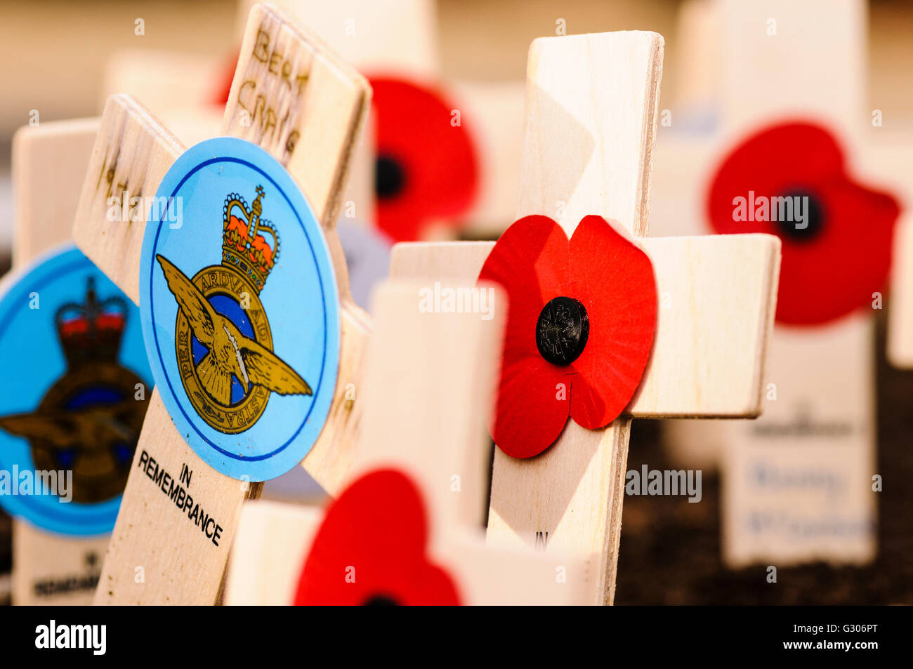 Closeup of wooden crosses at a remembrance ceremony Stock Photo