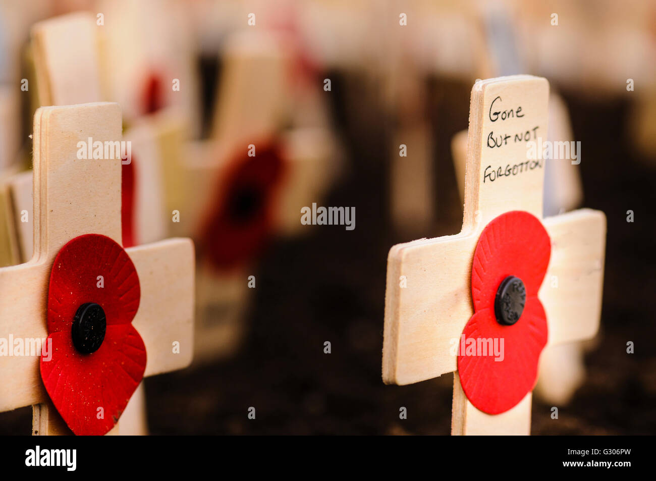 Closeup of wooden crosses at a remembrance ceremony Stock Photo