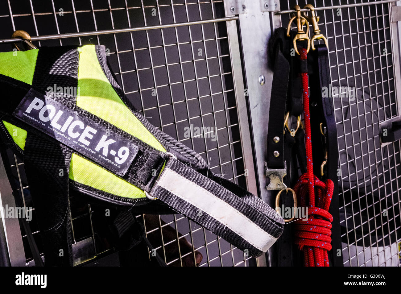 Police dog harnesses, ropes and leads on the cages in the back of a canine transport car. Stock Photo