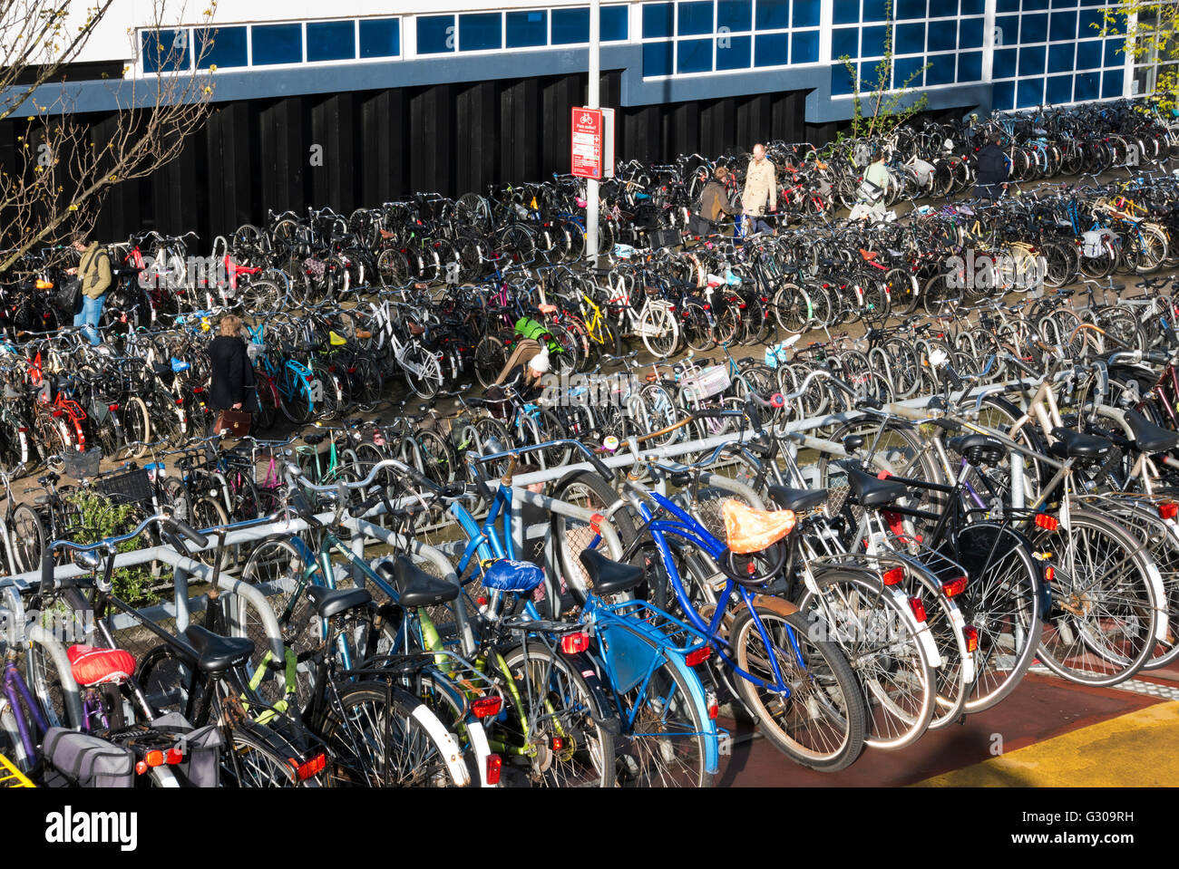 Bicycle storage near Central train station in Amsterdam, Holland,  Netherlands Stock Photo - Alamy