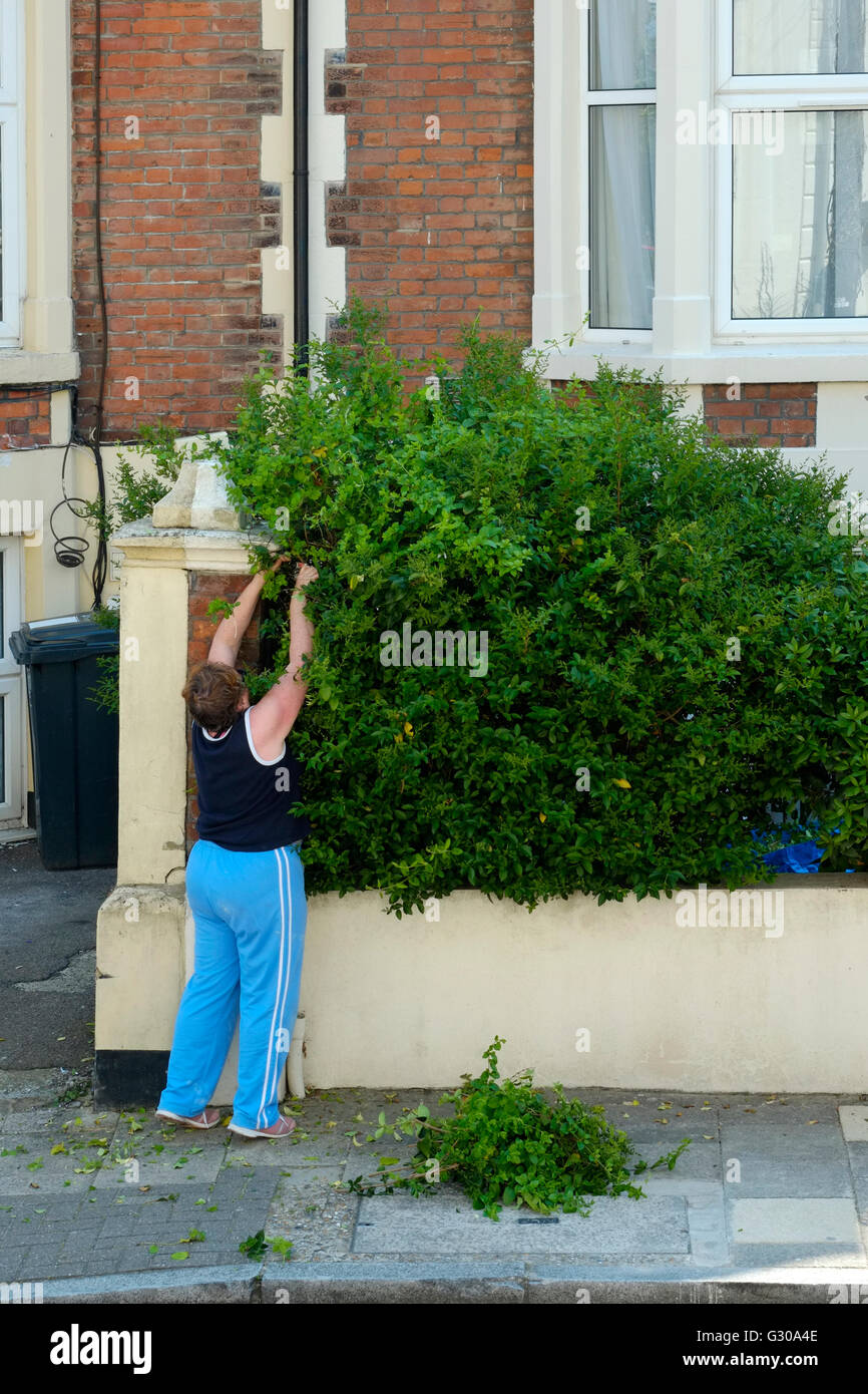 Woman trimming bushes hires stock photography and images Alamy
