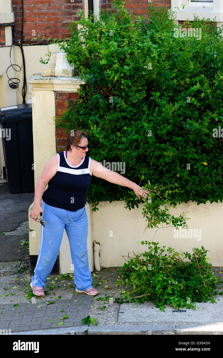 Woman trimming bushes hires stock photography and images Alamy